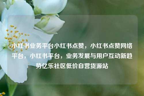 小红书业务平台小红书点赞，小红书点赞网络平台	，小红书平台，业务发展与用户互动新趋势亿乐社区低价自营货源站  第1张