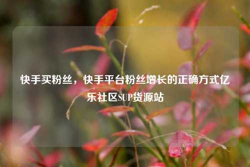 快手买粉丝，快手平台粉丝增长的正确方式亿乐社区SUP货源站  第1张
