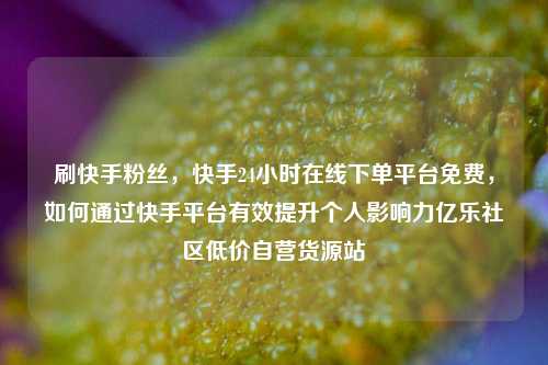 刷快手粉丝，快手24小时在线下单平台免费，如何通过快手平台有效提升个人影响力亿乐社区低价自营货源站  第1张