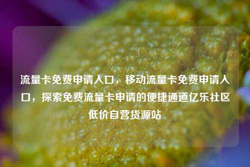 流量卡免费申请入口，移动流量卡免费申请入口，探索免费流量卡申请的便捷通道亿乐社区低价自营货源站  第1张