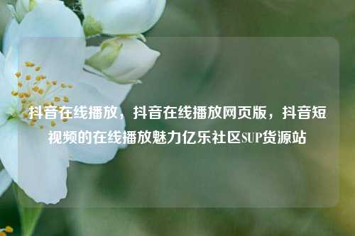抖音在线播放，抖音在线播放网页版，抖音短视频的在线播放魅力亿乐社区SUP货源站  第1张