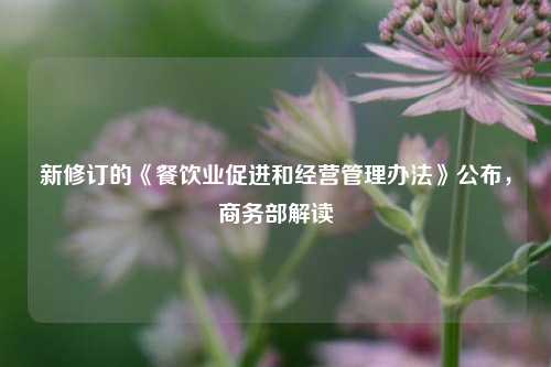 新修订的《餐饮业促进和经营管理办法》公布	，商务部解读  第1张