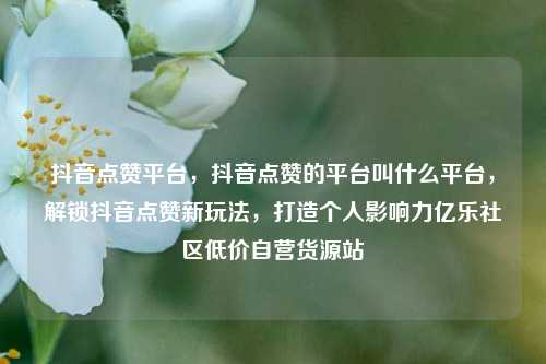 抖音点赞平台，抖音点赞的平台叫什么平台，解锁抖音点赞新玩法	，打造个人影响力亿乐社区低价自营货源站  第1张