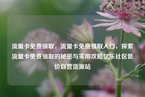 流量卡免费领取，流量卡免费领取入口，探索流量卡免费领取的秘密与实用攻略亿乐社区低价自营货源站  第1张