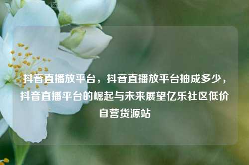 抖音直播放平台，抖音直播放平台抽成多少，抖音直播平台的崛起与未来展望亿乐社区低价自营货源站  第1张