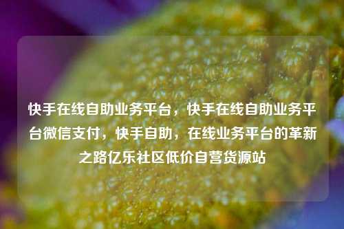 快手在线自助业务平台	，快手在线自助业务平台微信支付，快手自助，在线业务平台的革新之路亿乐社区低价自营货源站  第1张