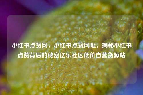 小红书点赞网，小红书点赞网址，揭秘小红书点赞背后的秘密亿乐社区低价自营货源站  第1张
