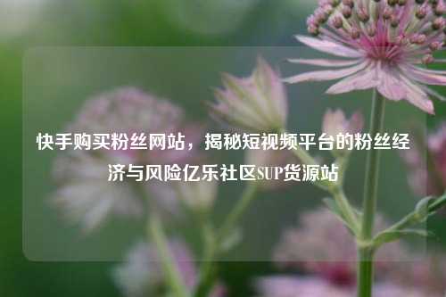 快手购买粉丝网站	，揭秘短视频平台的粉丝经济与风险亿乐社区SUP货源站  第1张