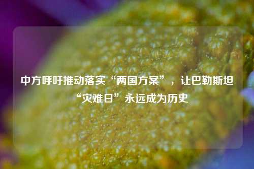 中方呼吁推动落实“两国方案”，让巴勒斯坦“灾难日”永远成为历史  第1张