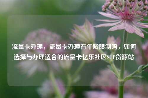流量卡办理，流量卡办理有年龄限制吗，如何选择与办理适合的流量卡亿乐社区SUP货源站  第1张