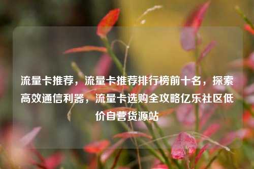 流量卡推荐，流量卡推荐排行榜前十名	，探索高效通信利器，流量卡选购全攻略亿乐社区低价自营货源站  第1张