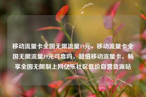 移动流量卡全国无限流量19元，移动流量卡全国无限流量19元可靠吗	，超值移动流量卡，畅享全国无限制上网亿乐社区低价自营货源站  第1张