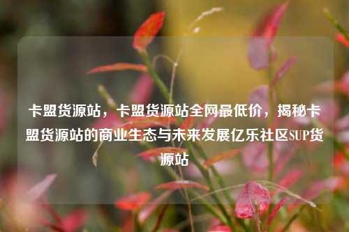 卡盟货源站	，卡盟货源站全网最低价，揭秘卡盟货源站的商业生态与未来发展亿乐社区SUP货源站  第1张