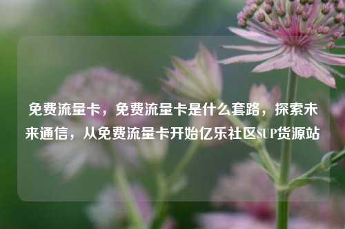 免费流量卡，免费流量卡是什么套路	，探索未来通信，从免费流量卡开始亿乐社区SUP货源站  第1张