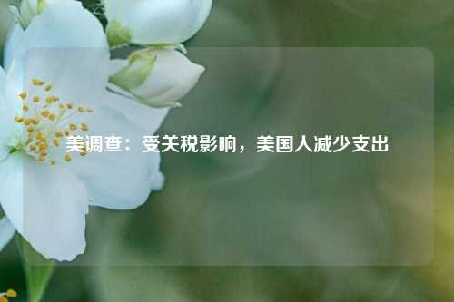 美调查：受关税影响，美国人减少支出  第1张