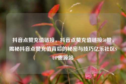 抖音点赞充值链接	，抖音点赞充值链接50赞，揭秘抖音点赞充值背后的秘密与技巧亿乐社区SUP货源站  第1张