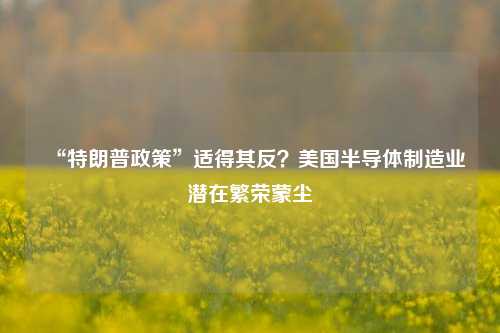 “特朗普政策	”适得其反？美国半导体制造业潜在繁荣蒙尘  第1张