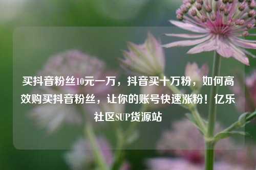 买抖音粉丝10元一万，抖音买十万粉	，如何高效购买抖音粉丝，让你的账号快速涨粉！亿乐社区SUP货源站  第1张