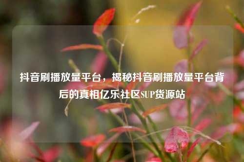 抖音刷播放量平台，揭秘抖音刷播放量平台背后的真相亿乐社区SUP货源站  第1张