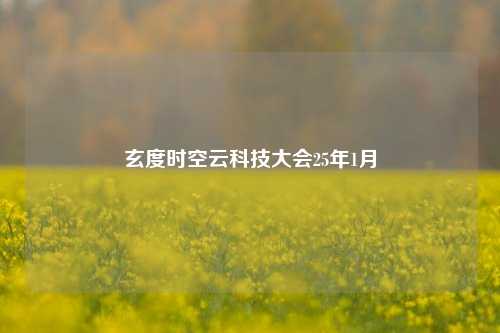 玄度时空云科技大会25年1月  第1张