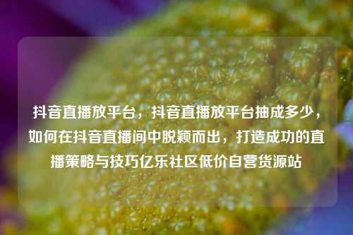 抖音直播放平台	，抖音直播放平台抽成多少，如何在抖音直播间中脱颖而出，打造成功的直播策略与技巧亿乐社区低价自营货源站  第1张