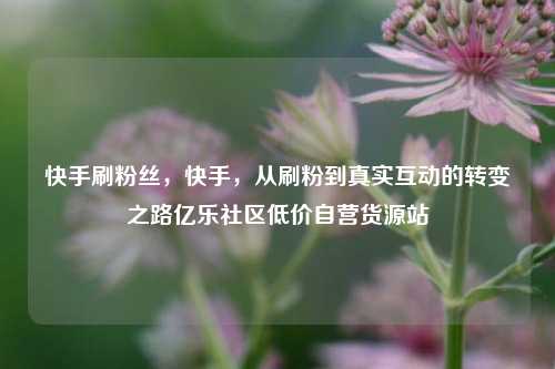 快手刷粉丝，快手，从刷粉到真实互动的转变之路亿乐社区低价自营货源站  第1张