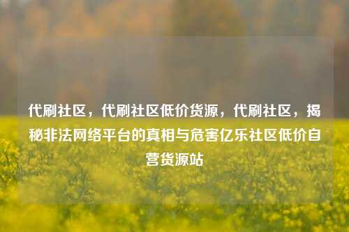 代刷社区，代刷社区低价货源，代刷社区	，揭秘非法网络平台的真相与危害亿乐社区低价自营货源站  第1张