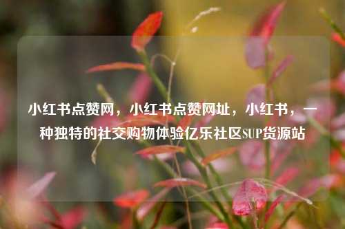 小红书点赞网，小红书点赞网址，小红书	，一种独特的社交购物体验亿乐社区SUP货源站  第1张