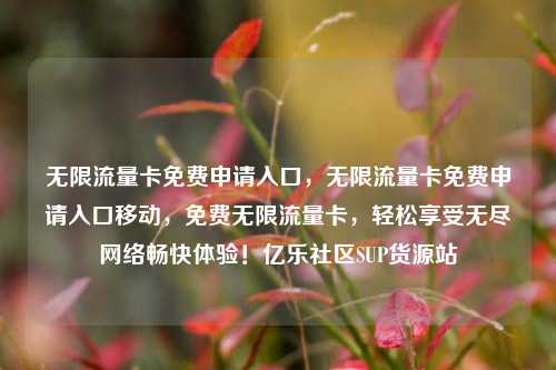 无限流量卡免费申请入口	，无限流量卡免费申请入口移动，免费无限流量卡，轻松享受无尽网络畅快体验！亿乐社区SUP货源站  第1张