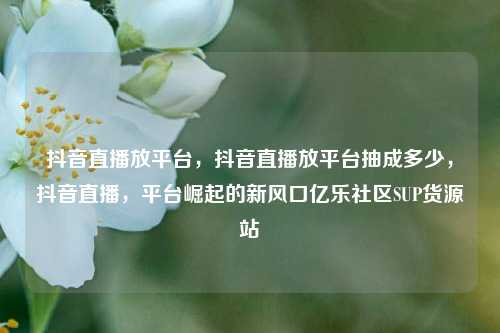 抖音直播放平台	，抖音直播放平台抽成多少，抖音直播，平台崛起的新风口亿乐社区SUP货源站  第1张