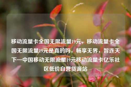 移动流量卡全国无限流量19元，移动流量卡全国无限流量19元是真的吗，畅享无界	，智连天下—中国移动无限流量19元移动流量卡亿乐社区低价自营货源站  第1张