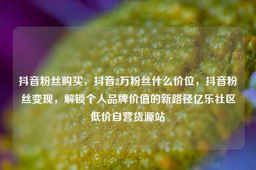 抖音粉丝购买	，抖音2万粉丝什么价位，抖音粉丝变现，解锁个人品牌价值的新路径亿乐社区低价自营货源站  第1张