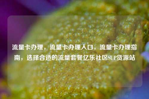 流量卡办理	，流量卡办理入口，流量卡办理指南，选择合适的流量套餐亿乐社区SUP货源站  第1张