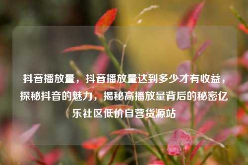 抖音播放量，抖音播放量达到多少才有收益，探秘抖音的魅力	，揭秘高播放量背后的秘密亿乐社区低价自营货源站  第1张