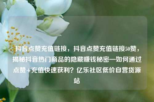 抖音点赞充值链接，抖音点赞充值链接50赞，揭秘抖音热门商品的隐藏赚钱秘密—如何通过点赞+充值快速获利？亿乐社区低价自营货源站  第1张