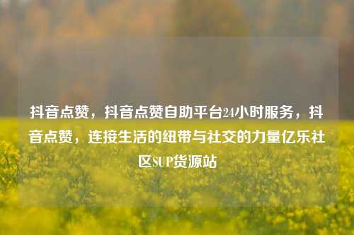抖音点赞，抖音点赞自助平台24小时服务，抖音点赞	，连接生活的纽带与社交的力量亿乐社区SUP货源站  第1张
