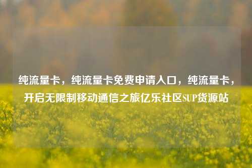 纯流量卡，纯流量卡免费申请入口，纯流量卡，开启无限制移动通信之旅亿乐社区SUP货源站  第1张