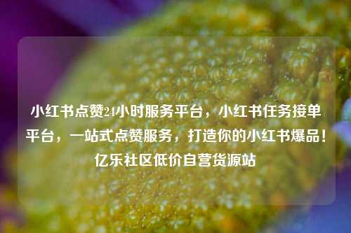 小红书点赞24小时服务平台，小红书任务接单平台，一站式点赞服务，打造你的小红书爆品！亿乐社区低价自营货源站  第1张