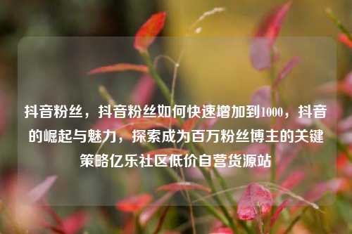 抖音粉丝	，抖音粉丝如何快速增加到1000，抖音的崛起与魅力，探索成为百万粉丝博主的关键策略亿乐社区低价自营货源站  第1张