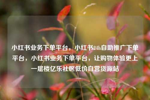 小红书业务下单平台	，小红书24h自助推广下单平台，小红书业务下单平台，让购物体验更上一层楼亿乐社区低价自营货源站  第1张