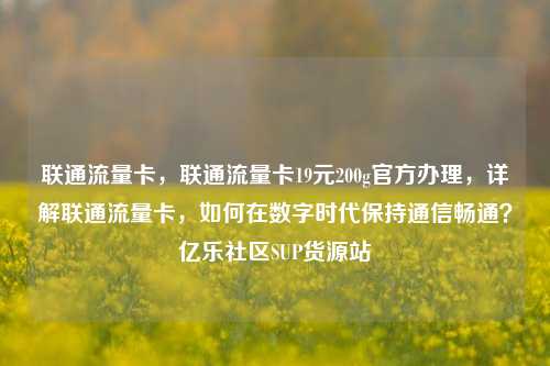 联通流量卡，联通流量卡19元200g官方办理	，详解联通流量卡，如何在数字时代保持通信畅通？亿乐社区SUP货源站  第1张