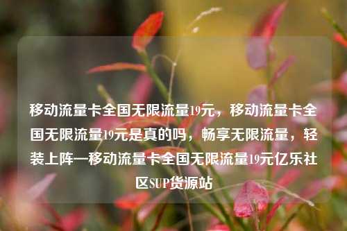 移动流量卡全国无限流量19元	，移动流量卡全国无限流量19元是真的吗，畅享无限流量，轻装上阵—移动流量卡全国无限流量19元亿乐社区SUP货源站  第1张
