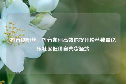 抖音刷粉丝，抖音如何高效地提升粉丝数量亿乐社区低价自营货源站  第1张