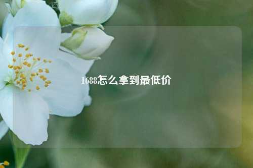 1688怎么拿到最低价  第1张