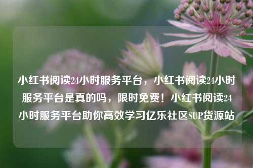 小红书阅读24小时服务平台，小红书阅读24小时服务平台是真的吗，限时免费！小红书阅读24小时服务平台助你高效学习亿乐社区SUP货源站  第1张