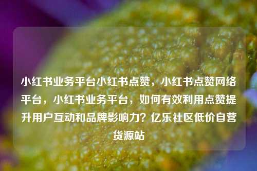 小红书业务平台小红书点赞，小红书点赞网络平台	，小红书业务平台，如何有效利用点赞提升用户互动和品牌影响力？亿乐社区低价自营货源站  第1张