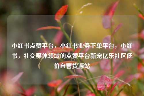 小红书点赞平台	，小红书业务下单平台，小红书，社交媒体领域的点赞平台新宠亿乐社区低价自营货源站  第1张