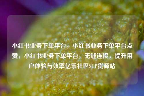 小红书业务下单平台，小红书业务下单平台点赞	，小红书业务下单平台，无缝连接，提升用户体验与效率亿乐社区SUP货源站  第1张