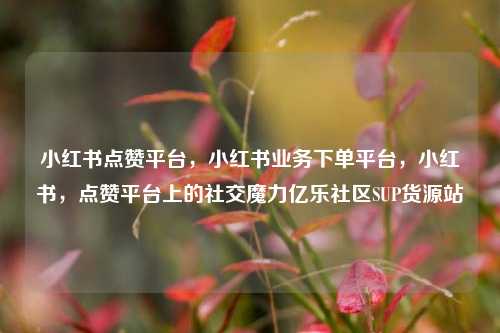 小红书点赞平台	，小红书业务下单平台，小红书，点赞平台上的社交魔力亿乐社区SUP货源站  第1张