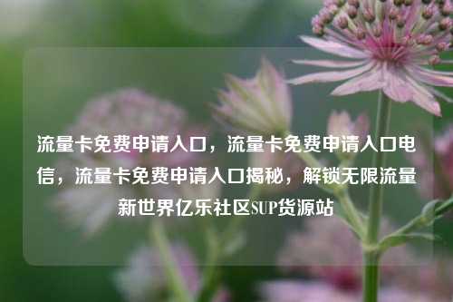 流量卡免费申请入口，流量卡免费申请入口电信	，流量卡免费申请入口揭秘，解锁无限流量新世界亿乐社区SUP货源站  第1张